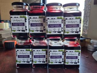 8x The Bee Keepers Honey Blackcurrant & Honey Spread