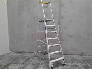 Indalex  Heavy Duty Industrial Aluminium Platform Ladder