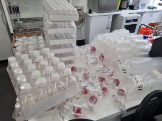 Bulk Lot of Laboratory Petri Dishes, Sterile Storage Bottles, New,