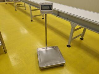 Wedderburn 150kg Digital Platform Scale