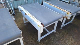 1300mm Conveyor