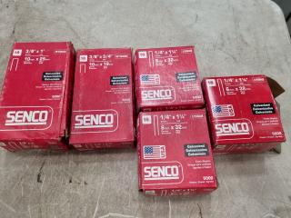 Assorted Senco 18-gauge Galvanised Staples