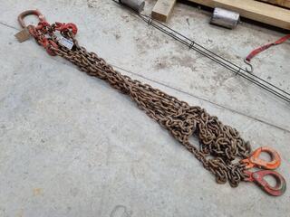 2-Leg Lifting Chain Assembly, 5350kg Max Capacity