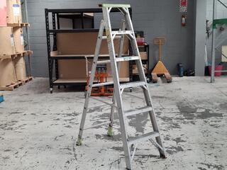 ALCO Homemaster Combination Step Extension Ladder ACH 6