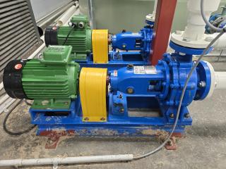 Henan Boao 80-50-200C Centrifugal Pump with CEG 2kW Motor