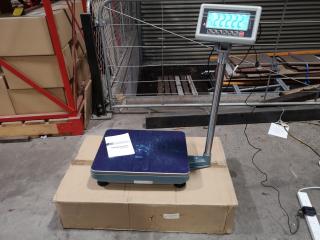 300kg Capacity Industrial Digital Floor Scale