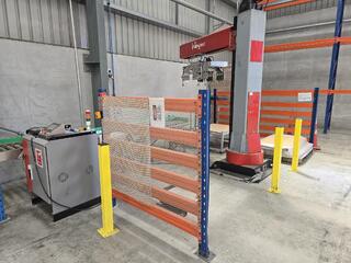 Industrial Robotic Palletiser with Roller Conveyor System