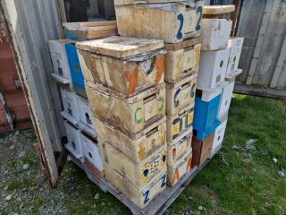 Pallet Of Mini  Mating Nuke Colonies 