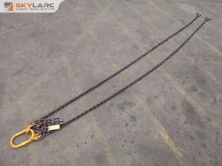 2100kg 2-Leg Lifting Chain Sling