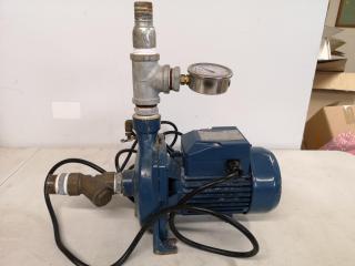 Pedrollo 0.37kw Industrial Pump