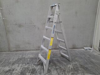 Werner Aluminium Ladder