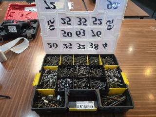 Assortment of Screws