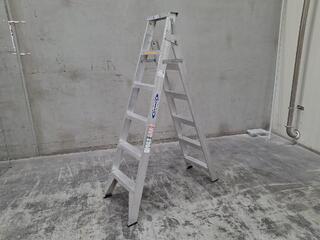 Werner Aluminium Step Ladder