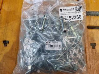 Bag of New Linch Pins