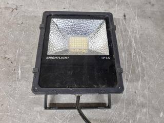 BrightLight LED Exterior 50W Flood Light