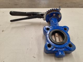 QHT-DN50 PN16 T1511 Body And Disc Center Line Butterfly Valve