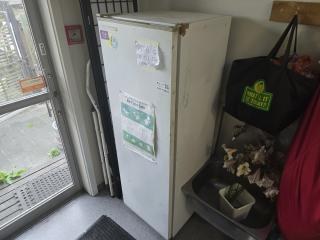 Upright Freezer 