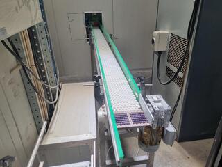 Conveyor Belt Assembly, 4000mm length