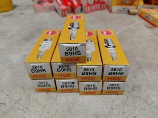 NGK 5810 B9HS spark plugs