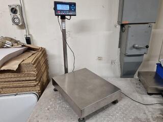 Wedderburn 60kg Digital Platform Scale