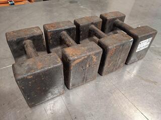 Wedderburn 20kg Cast Iron Calibration Weights