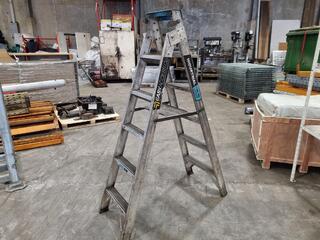 EasyAccess Co. Industrial Dual Purpise Step Ladder, 1.8m