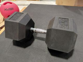 55kg Dumbbell