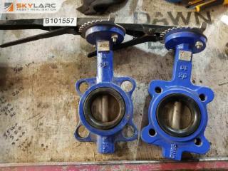 2 x 2" Butterfly Valves