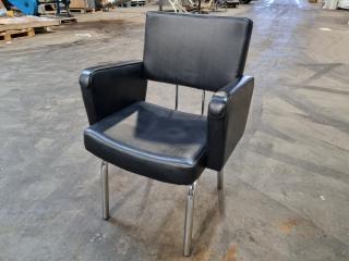 Professional Salon Chair