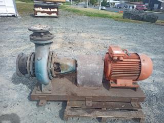 Large Water Pump