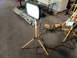 Worksite Light